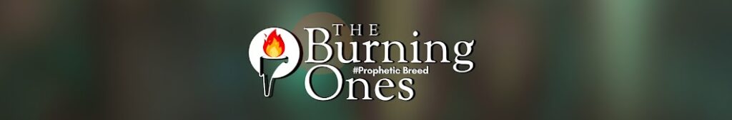 The Burning ones USA messages PDF